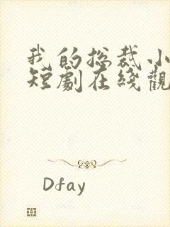 我的总裁小姨 短剧在线观看