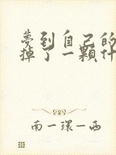 梦到自己的下牙掉了一颗什么预兆