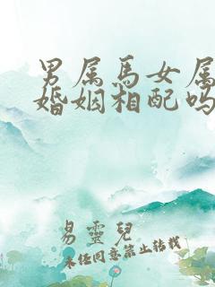 男属马女属牛的婚姻相配吗