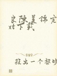 良陈美锦完本txt下载