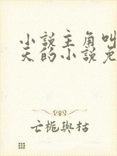 小说主角叫叶凌天的小说免费阅读