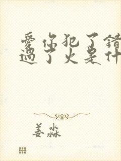 爱你犯了错自由过了火是什么歌