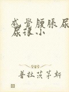 感觉腹胀尿频又尿很小