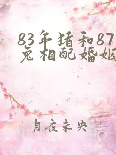 83年猪和87兔相配婚姻如何