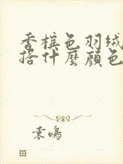 香槟色羽绒服内搭什么颜色好看