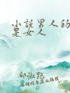 小说男人的一半是女人