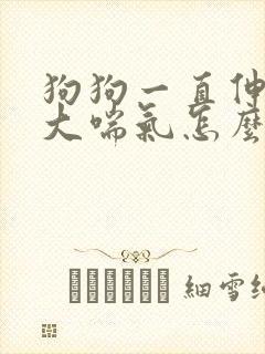 狗狗一直伸舌头大喘气怎么回事