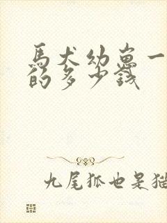 马犬幼崽一个月的多少钱