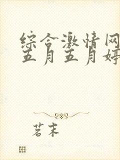综合激情网激情五月五月婷婷