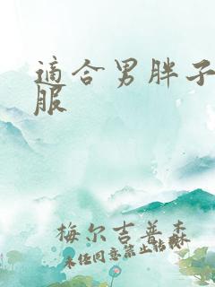 适合男胖子的衣服