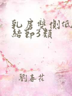 乳房双侧低回声结节3类