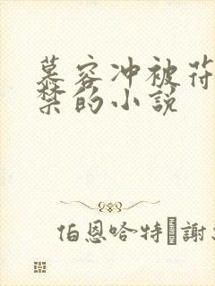 慕容冲被苻坚囚禁的小说