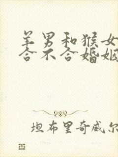 羊男和猴女属相合不合婚姻