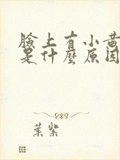 脸上有小黄斑点是什么原因