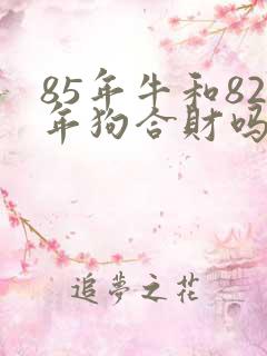 85年牛和82年狗合财吗