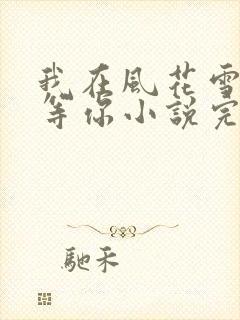我在风花雪月里等你小说完整免费