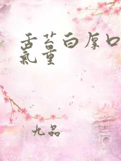 舌苔白厚口苦湿气重