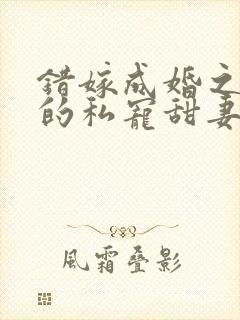 错嫁成婚之总裁的私宠甜妻在线阅读