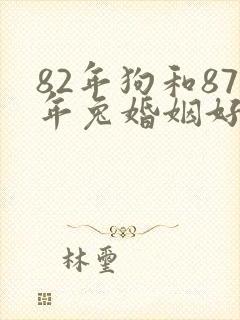 82年狗和87年兔婚姻好不好