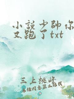 小说少帅你老婆又跑了txt