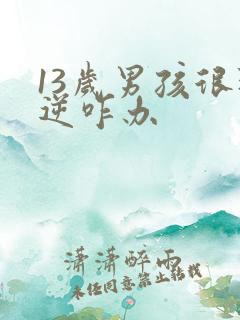 13岁男孩很叛逆咋办