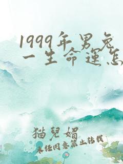 1999年男兔一生命运怎样