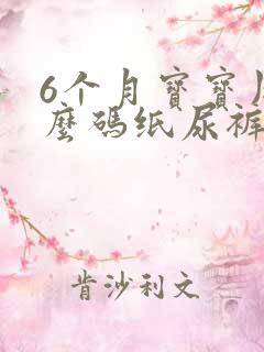 6个月宝宝用什么码纸尿裤