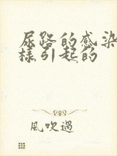 尿路的感染是怎样引起的