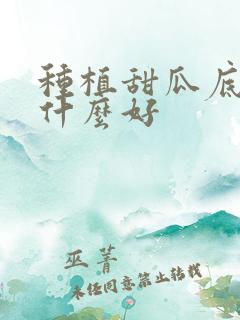 种植甜瓜底肥用什么好