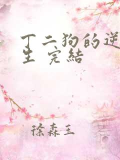丁二狗的逆袭人生 完结