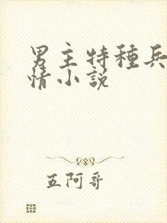 男主特种兵的言情小说