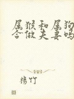 属猴和属狗的适合做夫妻吗怎样化解