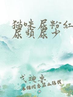 猫咪尿粉红色且尿频尿少