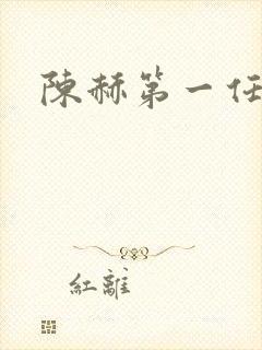 陈赫第一任妻子