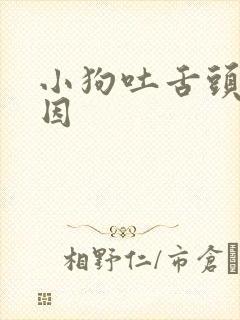 小狗吐舌头的原因