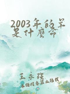 2003年的羊是什么命