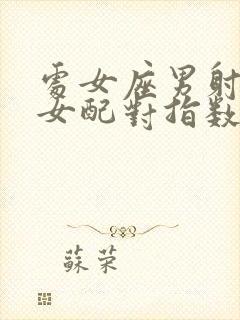 处女座男射手座女配对指数