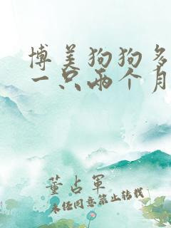 博美狗狗多少钱一只两个月