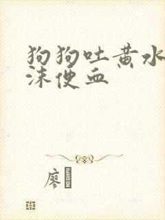 狗狗吐黄水带泡沫便血