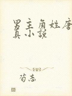 男主角姓唐的修真小说