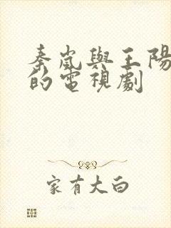 秦岚与王阳主演的电视剧