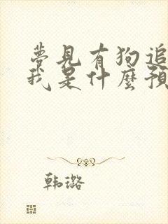 梦见有狗追着咬我是什么预兆