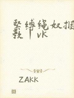 紧缚绳奴捆绑调教丨vk