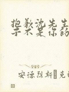 抱歉沈先生,孩子不是你的免费观看短剧