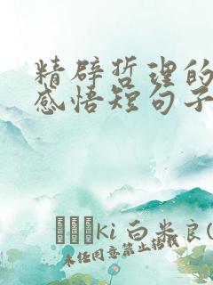 精辟哲理的人生感悟短句子