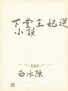 下堂王妃逆袭记 小说