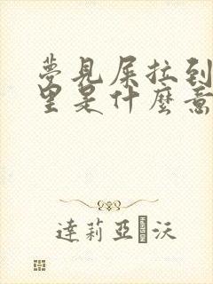 梦见屎拉到裤裆里是什么意思