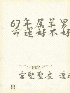 67年属羊男的命运好不好