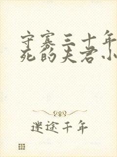 守寡三十年后战死的夫君小说