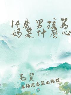 14岁男孩骂妈妈是什么心理